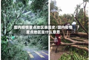 国内疫情重点地区暴露史/国内疫情重点地区是什么意思