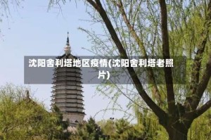 沈阳舍利塔地区疫情(沈阳舍利塔老照片)