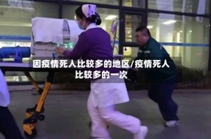 因疫情死人比较多的地区/疫情死人比较多的一次