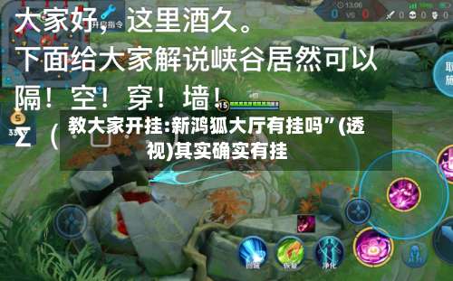 教大家开挂:新鸿狐大厅有挂吗”(透视)其实确实有挂-第2张图片