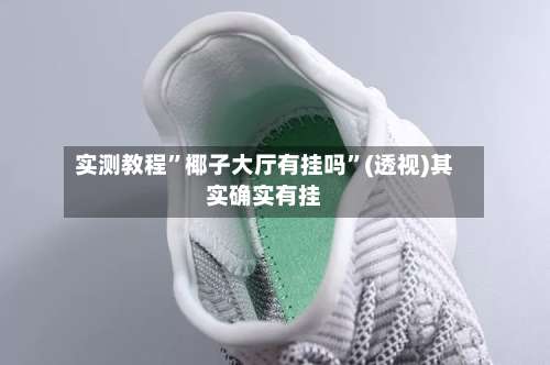 实测教程	”椰子大厅有挂吗”(透视)其实确实有挂-第2张图片