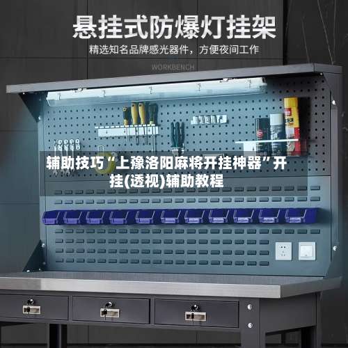 辅助技巧“上豫洛阳麻将开挂神器”开挂(透视)辅助教程-第2张图片