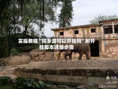 实操教程“同乡游可以开挂吗”附开挂脚本详细步骤-第3张图片