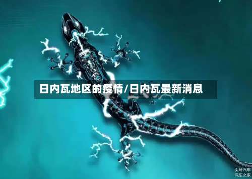 日内瓦地区的疫情/日内瓦最新消息-第2张图片