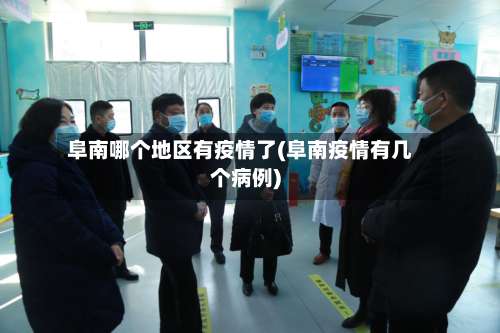 阜南哪个地区有疫情了(阜南疫情有几个病例)-第2张图片