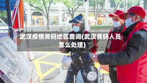 武汉疫情黄码地区查询(武汉黄码人员怎么处理)-第2张图片