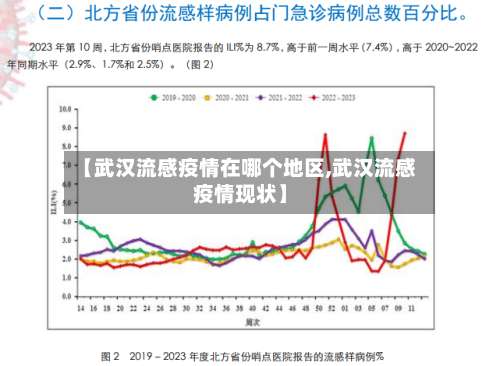 【武汉流感疫情在哪个地区,武汉流感疫情现状】-第1张图片