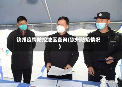 钦州疫情防控地区查询(钦州防疫情况)-第1张图片