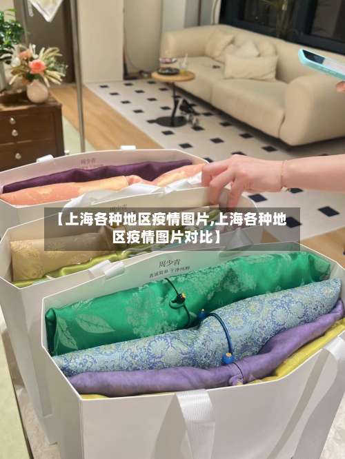 【上海各种地区疫情图片,上海各种地区疫情图片对比】-第2张图片
