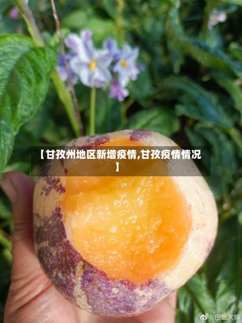 【甘孜州地区新增疫情,甘孜疫情情况】-第3张图片